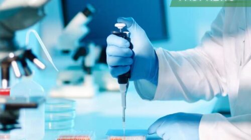 Brii Biosciences said Wednesday that a study for its BRII-179 product to treat hepatitis B has shown favorable results in inducing functional immune responses.