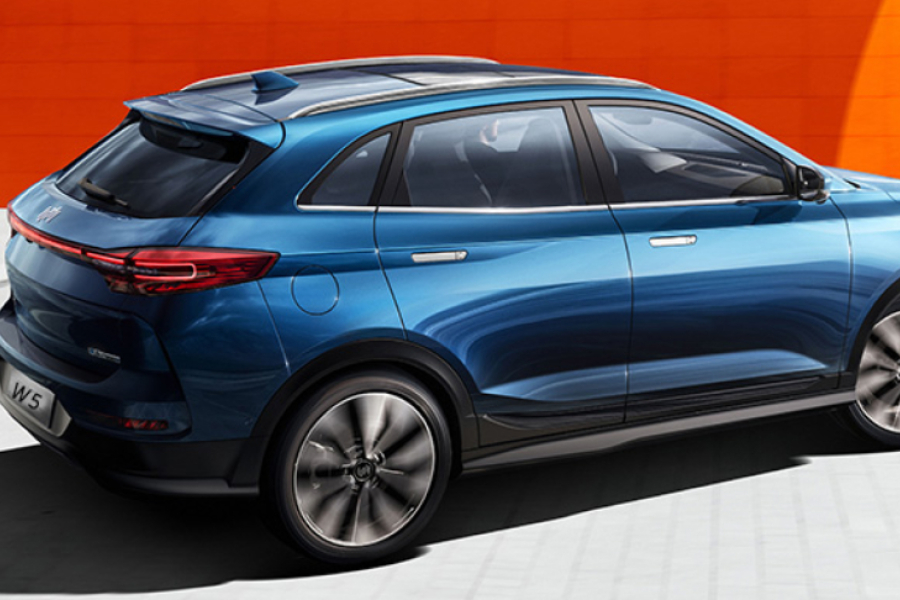 WM Motor faces uncertain road with Kaixin