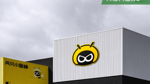 Bee Sports launches new helmet