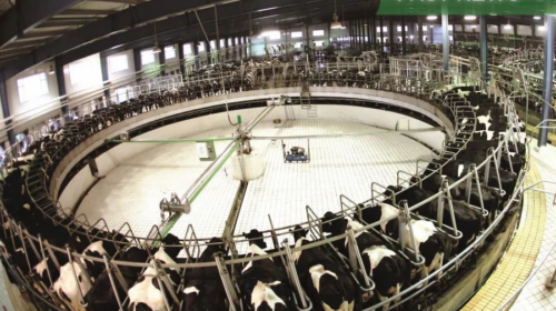 Dairy farming company China Modern Dairy said on Friday it expects to report a profit of 160 million yuan to 200 million yuan for 2023, down 66% to 72% year-on-year.