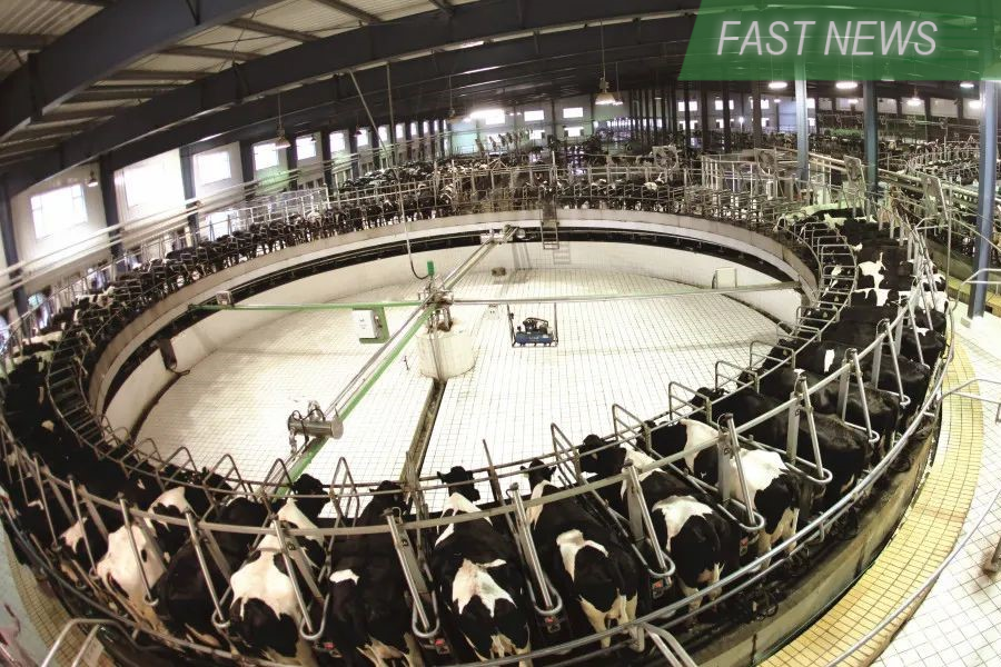 Dairy farming company China Modern Dairy said on Friday it expects to report a profit of 160 million yuan to 200 million yuan for 2023, down 66% to 72% year-on-year.