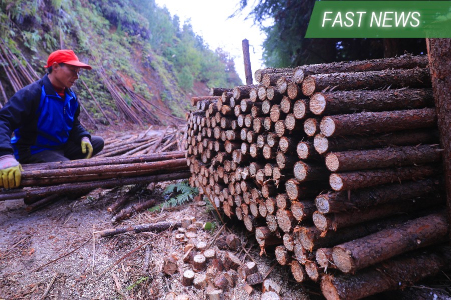 China wood turns losses into profits