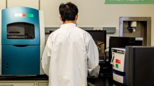 During the Covid pandemic, lab monkeys that are one of Joinn’s main businesses were in short supply as companies rushed to develop Covid vaccines and drugs.
