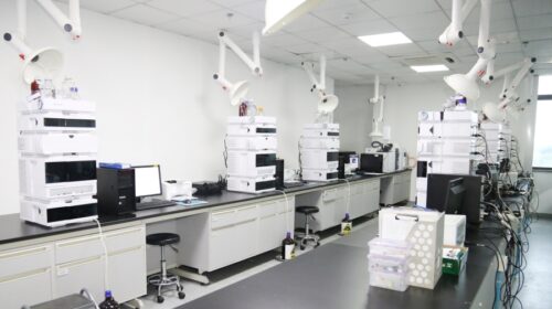 The developer of drugs for advanced or recurrent cancers has already conducted nine financing rounds, but will not start generating commercial revenue before 2026, as all its products are still in the trial stages.
