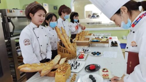 This provider of vocational training has posted solid half-year earnings and is focusing on training for the automotive and IT industries.