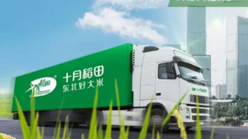 Founded in 2005, Shiyue Daotian has been partnering with JD.com and Tmall since 2011 to sell its products through e-commerce platforms, reversing the notion that rice is only sold offline and recording high sales growth.
