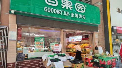 As Ten-year plan withers on the vine, what goes wrong in Pagoda?