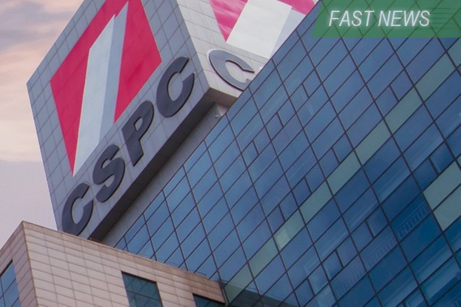 CSPC develops, produces and sells its own innovative drugs. Its growth has been sluggish over the past three years due to a slowdown for its finished drug business.