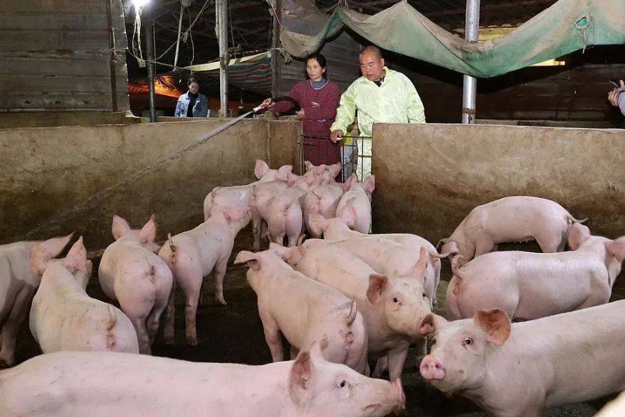 Zhengye completes IPO, but more likely to come