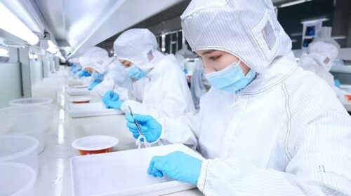 Scientists make new birds nest based products