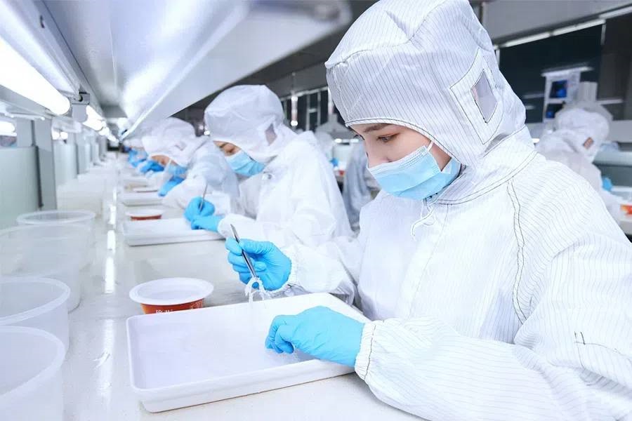 Scientists make new birds nest based products