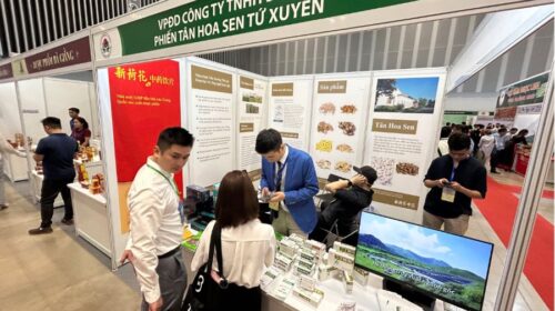 Neautus turns away from mainland listing to Hong Kong IPO to fund business expansion