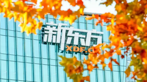 New Oriental provides education services