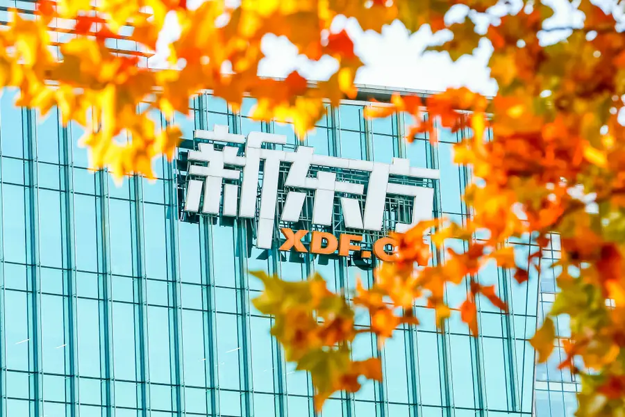 New Oriental provides education services