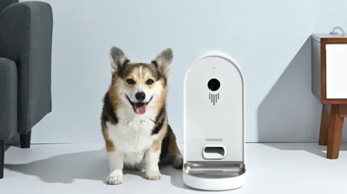 Dogness makes products for dogs