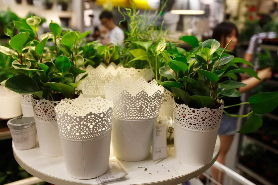 World’s leading plastic planters maker Consumer Solution seeks Hong Kong listing
